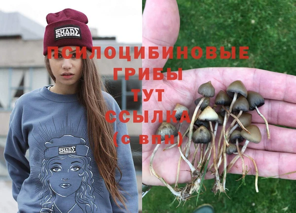 гашик Мегион