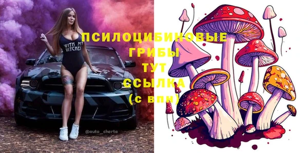 ALPHA PVP Медногорск