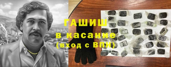гашик Мегион