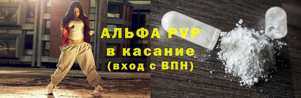 гашик Мегион