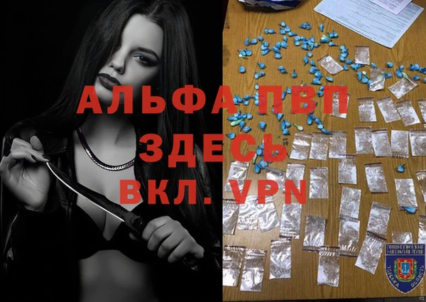 гашик Мегион