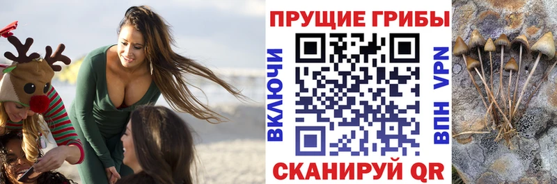 Галлюциногенные грибы Cubensis hydra рабочий сайт Тотьма как найти закладки